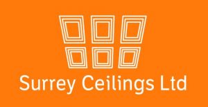 BNI Sutton Member - Surrey Ceilings