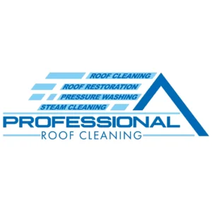 Professional Roof Cleaning