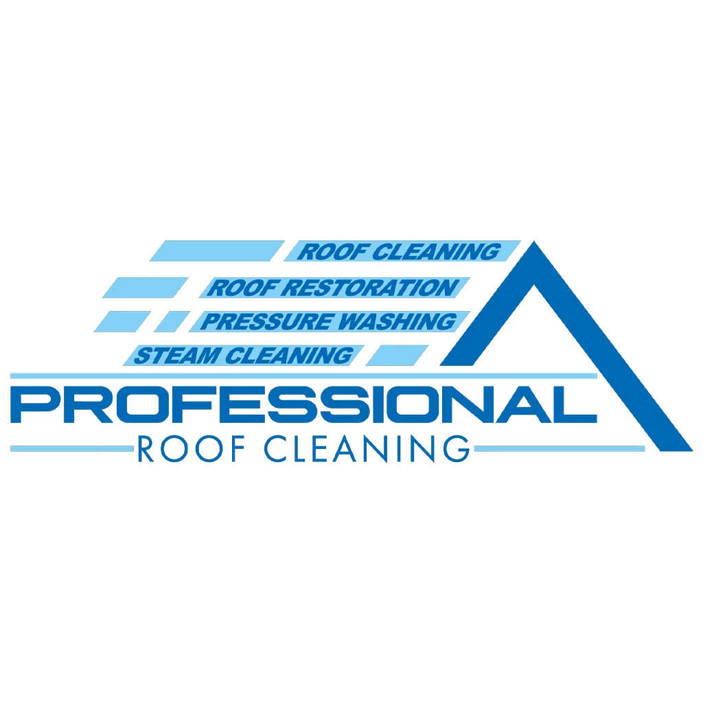 Professional Roof Cleaning